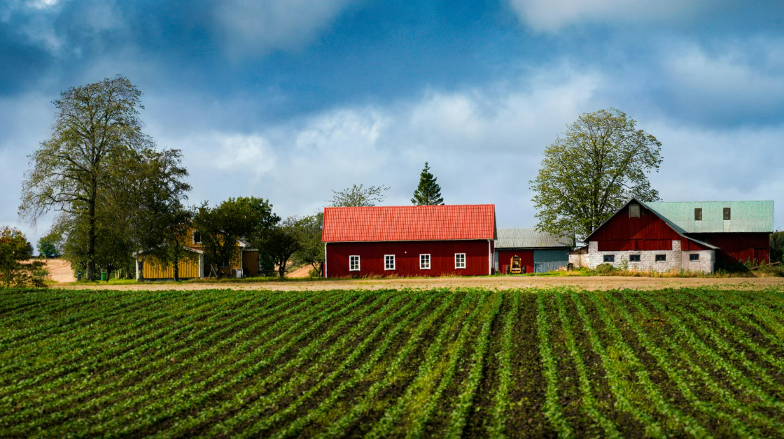 Propriedade rural com lavoura e galpões